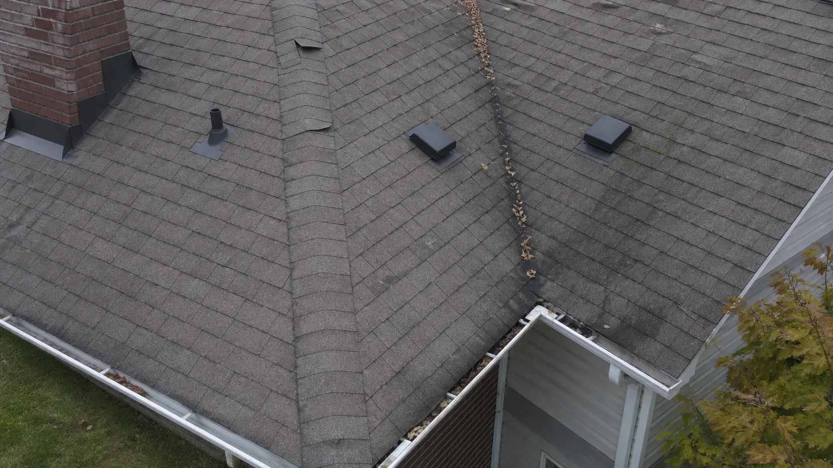 Close low altitude drone view of a residential asphalt shingle roof in flat overcast light. The frame shows a hip ridge, a valley holding fallen leaves, metal step flashing where the roof meets a brick chimney, a plumbing stack boot, two roof vents, and the eavestrough along the lower edge. Several shingle tabs are lifted near the ridge and one slope carries dark algae streaking. This is the level of detail a drone roof inspection records across the whole roof surface without a ladder.